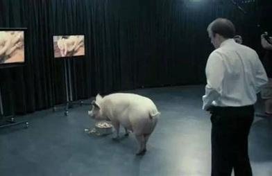 The National Anthem (Black Mirror)