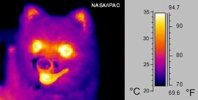 Thermographic Camera