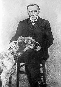 Timeline Of The Telephone