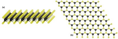 Transition Metal Dichalcogenide Monolayers