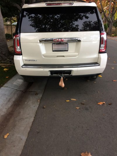 Truck Nuts