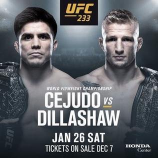 Ufc 233