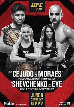 UFC 238