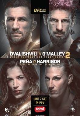 UFC 316