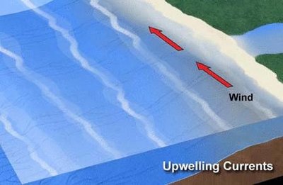 Upwelling