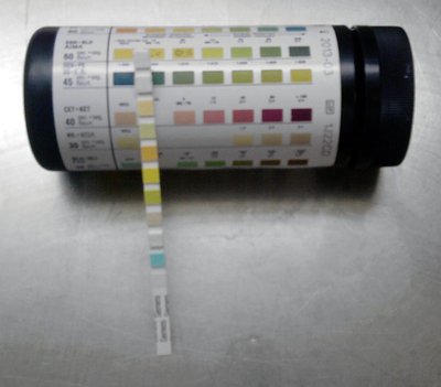 Urine test strip