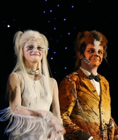 Victoria The White Cat