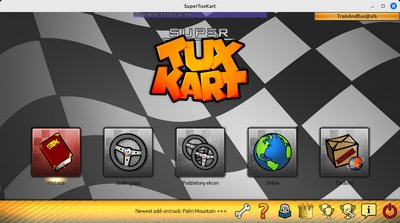 Video Game Localization