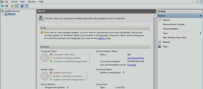 Windows Server Update Services