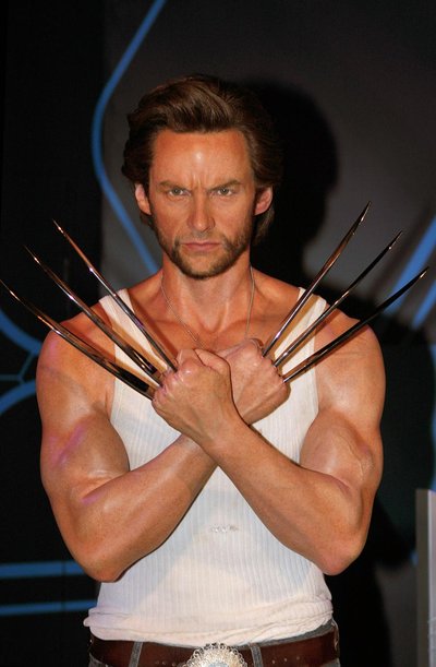 Wolverine (character)