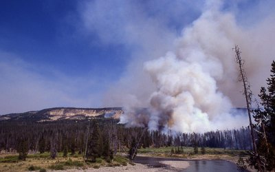 Yellowstone fires of 1988