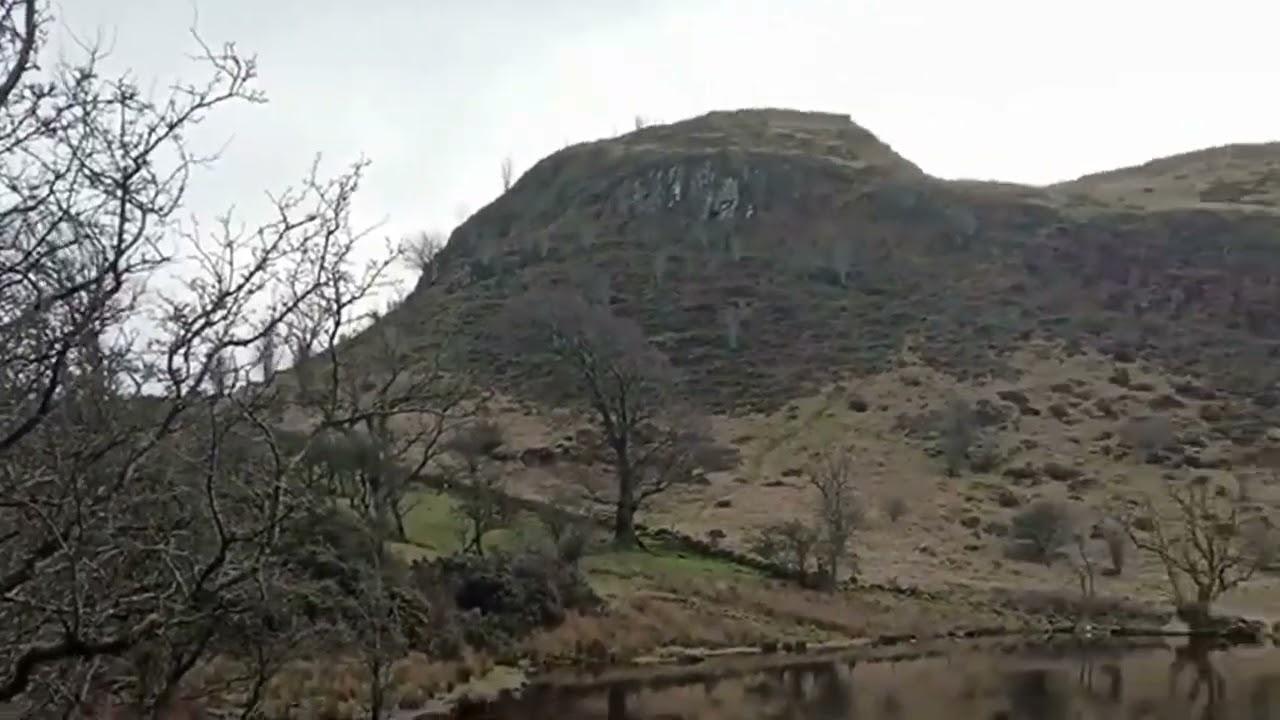 Duncarnock Tree Stump (Petrified Remains)