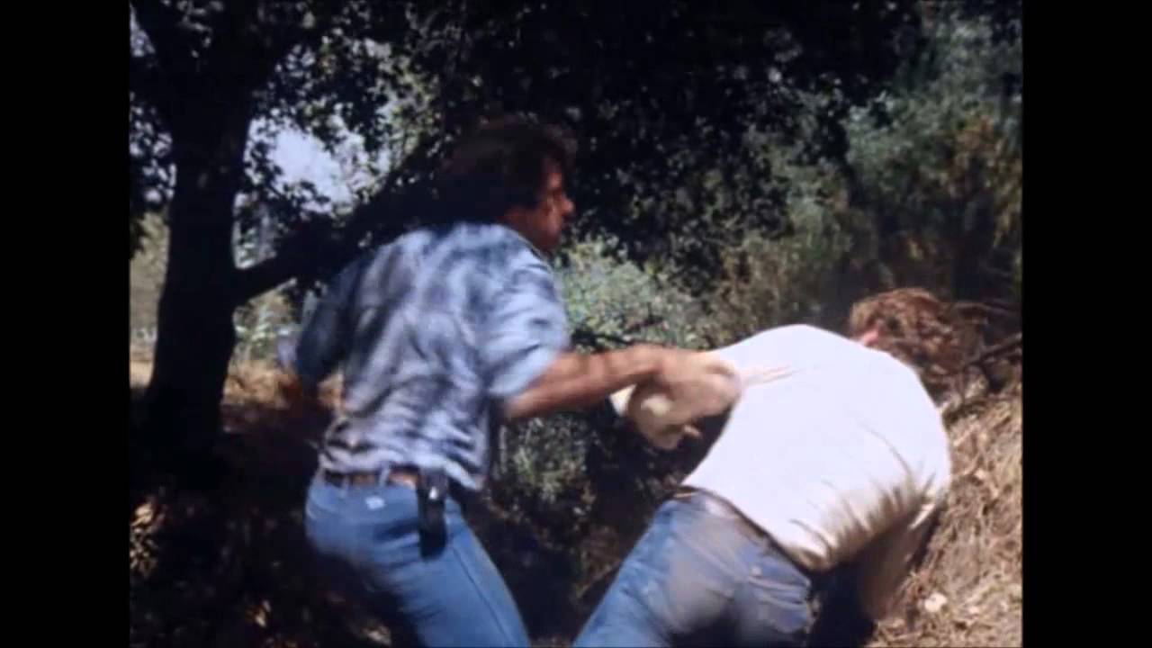 Dukes of Hazzard-Another fight between Bo and Luke