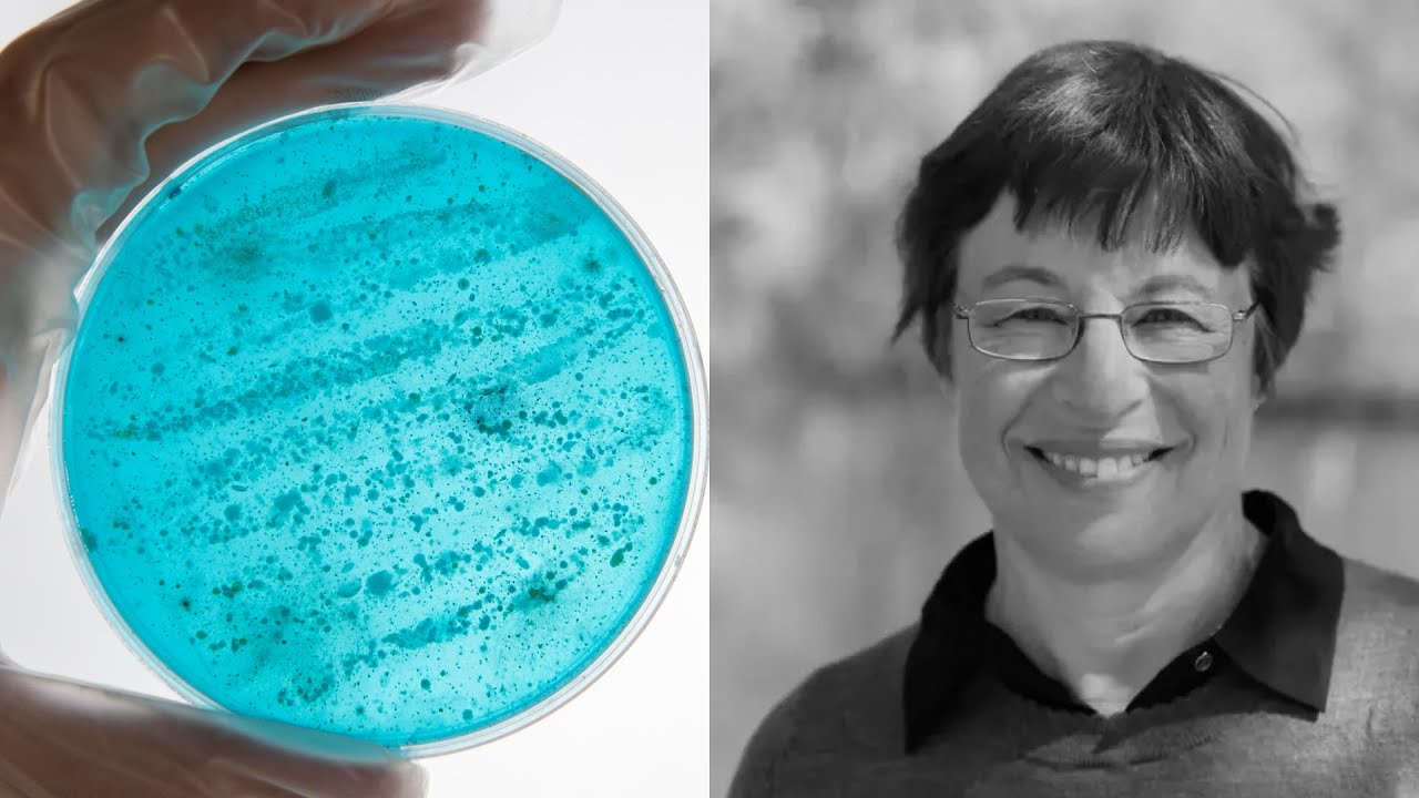 Lynn Rothschild | The Ultimate in Extreme Ecology: Life Off-Planet for Science and Settlement