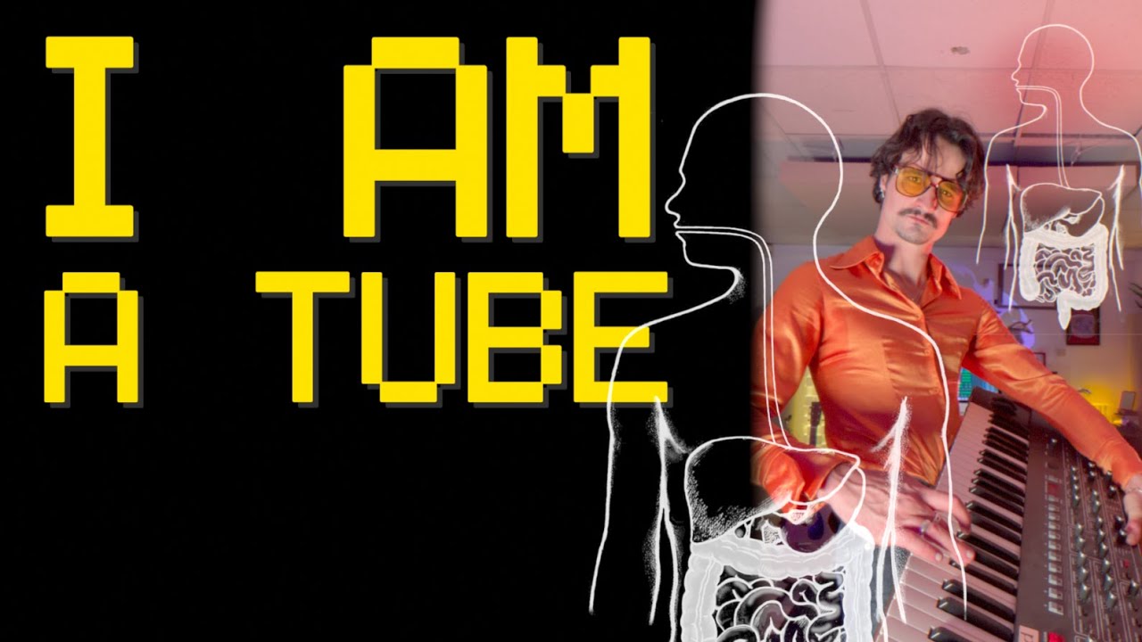 The Human Experience