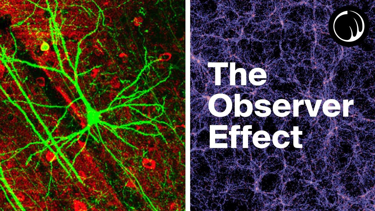 Weird Things Begin to Happen When You Examine Consciousness