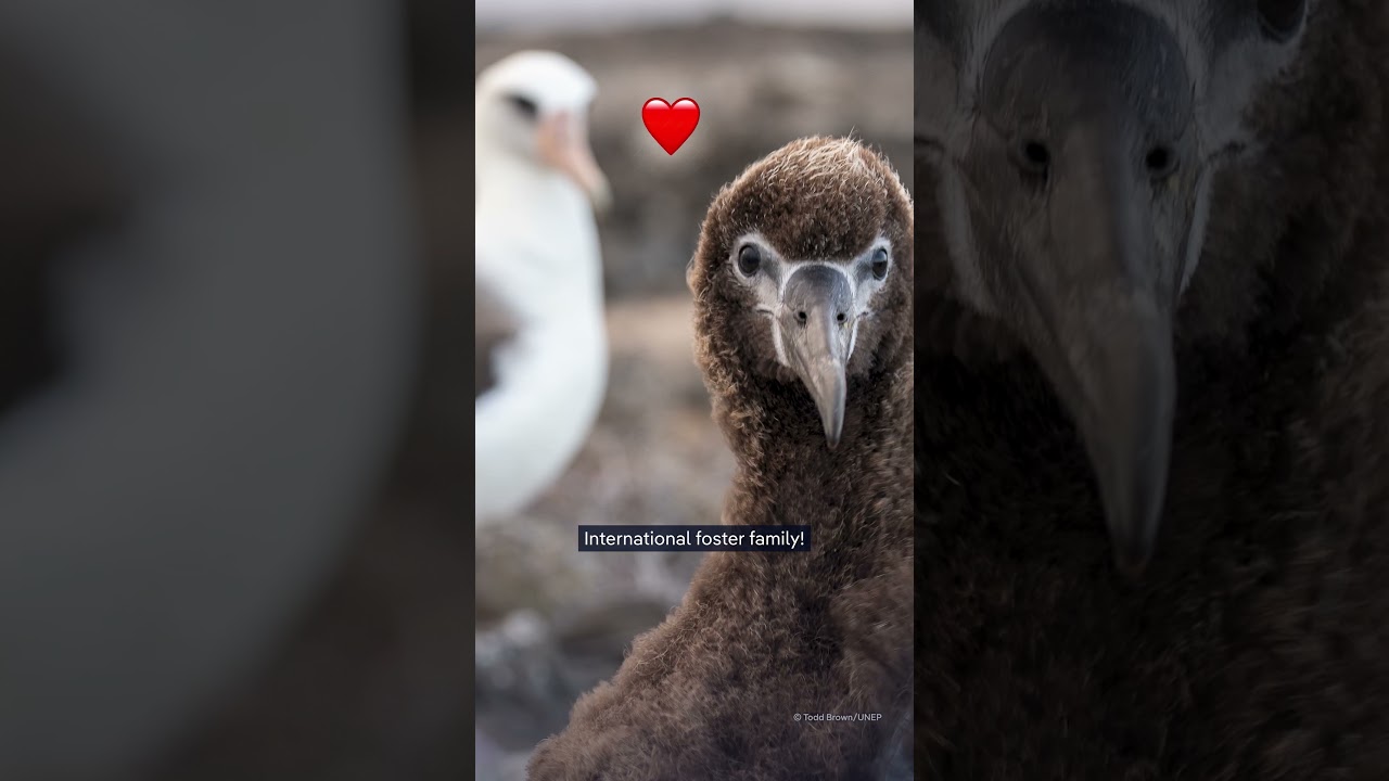 How Mexico brought paradise back to life