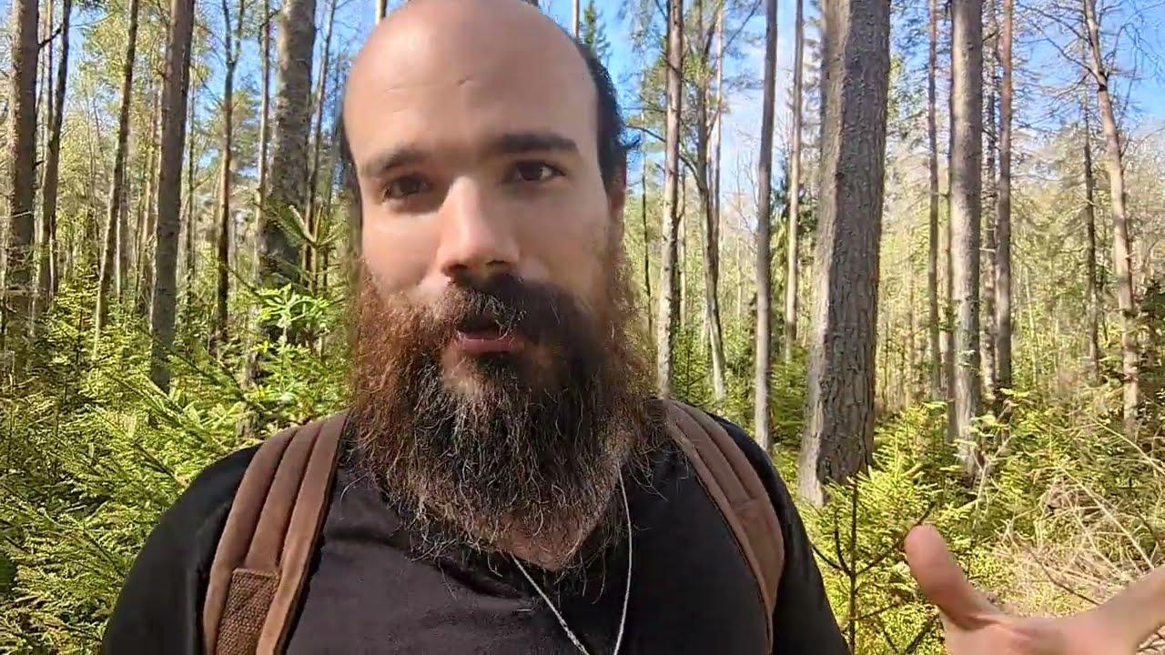 YOU are the Dead Internet.