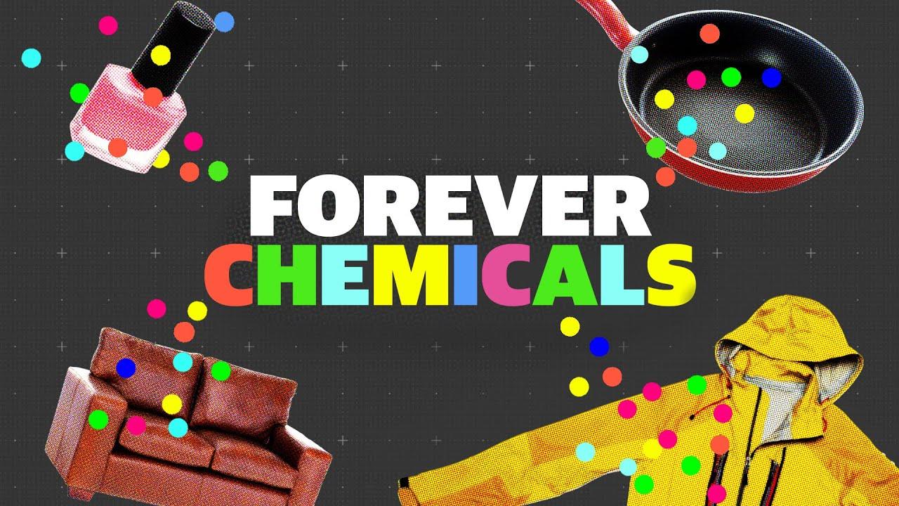 How PFAS poisoned the world