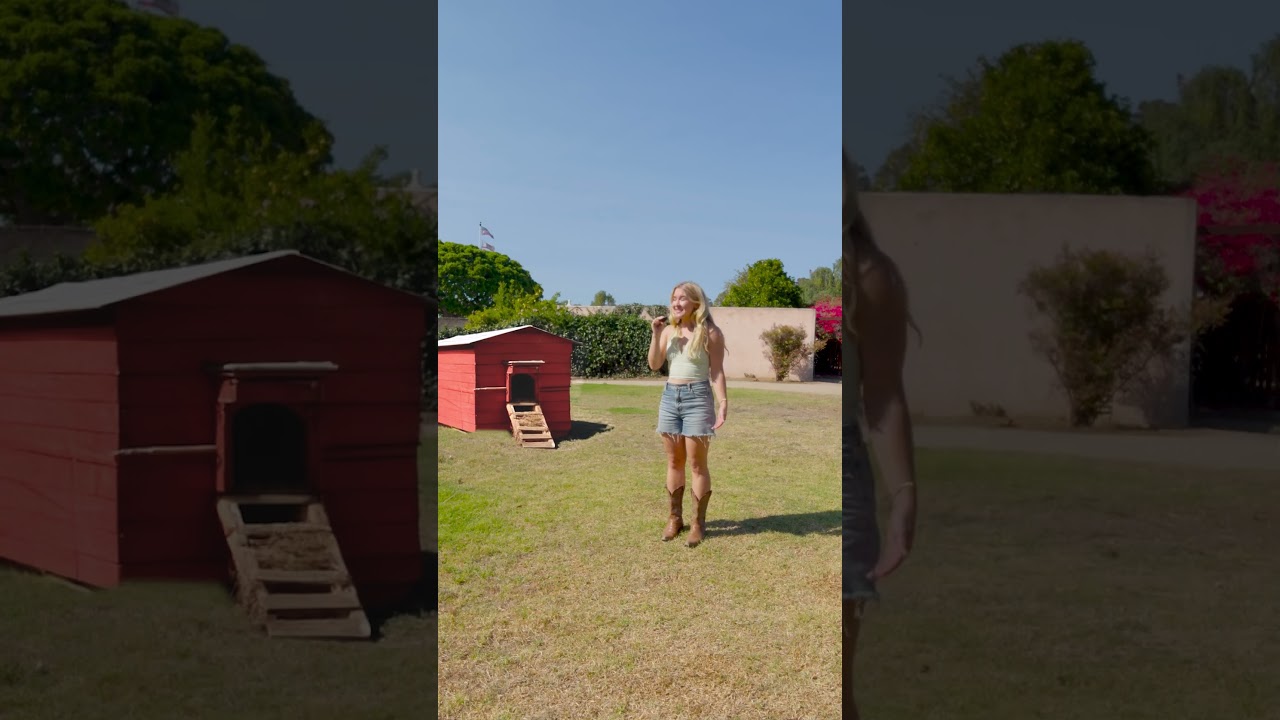 I forgot to say "Yeehaw"! 🤠🐴🐓 Lots of tutorials for these on the way! #aiorreal #ai #generativeai