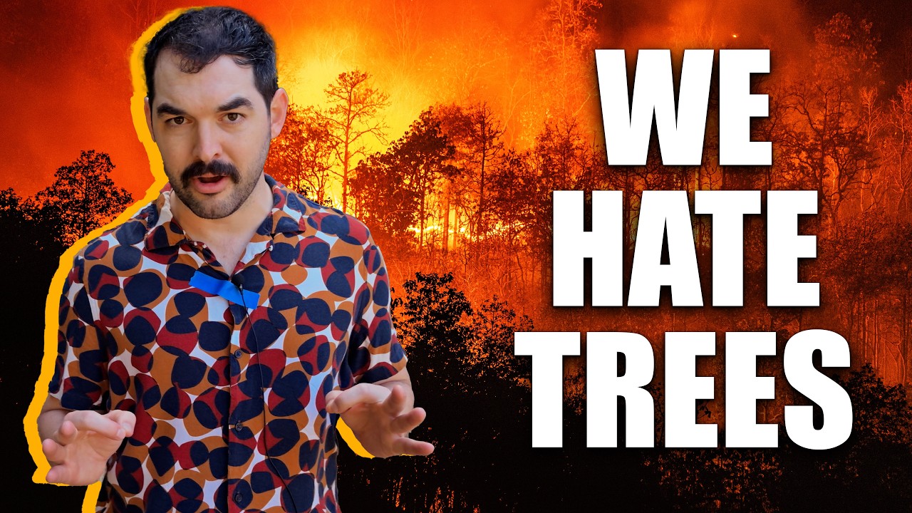 We're Deep Frying The Rainforest | Climate Town