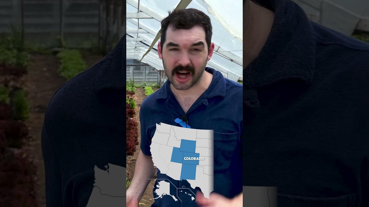 The 20 Families That Own Most The Water